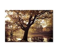 Postereck - 0674 - Arbre, lac, automne, flore, nature, étang. Art Mural Impression - Décoration nature, paysage, Poster - Affiche - 3:2 91,0 cm x 61,0 cm
