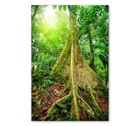 Postereck - 1325 - Arbre, jungle, Asie, soleil, nature, forêt. Art Mural Impression - Décoration nature, exotique, Canvas - Affiche - 3:2 91,0 cm x 61,0 cm
