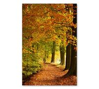 Postereck - 1797 - Automne, forêt chemin nature paysage. Art Mural Impression - Décoration nature, saison, Poster - Affiche - 4:3 40,0 cm x 30,0 cm