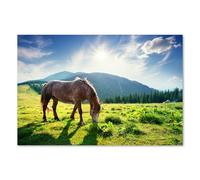 Postereck - 2957 - Tirage Cheval Animal Étalon Liberté Sauvage Nature - Art Mural, Faune, Action - Affiche - 3:2 91,0 cm x 61,0 cm