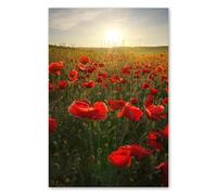 Postereck - 3182 - Tirage Coquelicots Champ Nature Été Soleil Prairie - Art Mural, Floral, Botanique - Affiche - DIN A4 21,0 cm x 29,7 cm