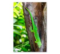 Postereck - 3596 - Lézard, reptile animal nature chasseur vert arbre - Poster mural photos tableau mural - toile - 40,0 cm x 30,0 cm