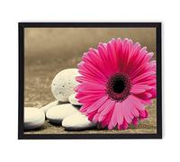 postergaleria Image dans le cadre | Affiche | Moderne | Art mural | Différents thèmes 40 x 50 cm (fleur rose)