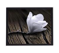 postergaleria Tableau dans le cadre | Affiche | Moderne | Art mural | Différents thèmes 40 x 50 cm (magnolia blanc)