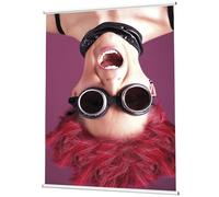 Posterhanger Porte-affiche 30 cm argent