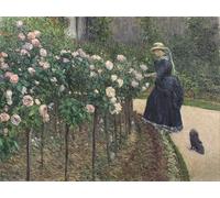 POSTERIIk Célèbre Moderne Mur Art Tableaux Posters Jardin des roses au Petit Gennevilliers Gustave Caillebotte Huile sur toile par Gustave Caillebotte Pour la Décoration du Salon 60x90cm