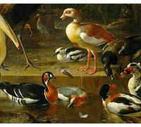 POSTERIIk Célèbre Moderne Mur Art Tableaux Posters la plume flottante de Melchior De Hondecoeter Paysage Toile Affiche Pour la Décoration Murale 60x90cm