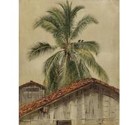 POSTERIIk Célèbre Moderne Mur Art Tableaux Posters Palmiers et toits de maisons en Équateur par Frederic Edwin Church Paysage Toile Affiche Pour la Décoration Murale 60x90cm