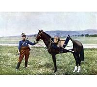 POSTERIIk Célèbre Moderne Mur Art Tableaux Posters un brigadier français et son cheval par Jules Gervais Courtellemont Paysage Toile Affiche Pour la Décoration Murale 60x90cm