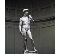 POSTERIIk Célèbre Toile d'art Abstrait L'art imprimé Michel-Ange David par Buonarroti Poster Image Pour la Décoration de Bureau 60x90cm