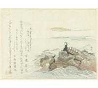 POSTERIIk De Célèbres Tableaux Affiches D'illustration Affiche Mur Art Tortues sur un rocher de Ryuryukyo Shinsai Kunstwerk Tableaux Pour la Décoration Murale 60x90cm