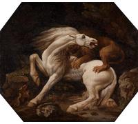 POSTERIIk Vintage Art Mural Classique Impression Tableaux Cheval attaqué par George Stubbs Impression Peinture Huile Pour la Décoration Murale 60x90cm