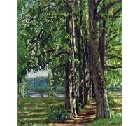 POSTERIIk Vintage Portrait Tableaux Art décor le paysage autour de la rivière Neman de Stanislav Zhukovsky Affiches imprimées Pour la Décoration Murale 60x90cm
