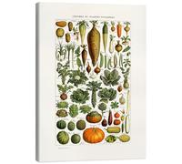Posterlounge Assiette de légumes anciens Tableau sur toile de Patruschka 50 x 70 cm Vert Tableaux Décoration murale