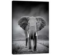 Posterlounge Éléphant en noir et blanc Tableau sur toile 70 x 90 cm Noir et blanc Tableaux Décoration murale