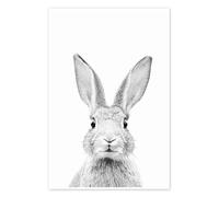 Posterlounge Lapin curieux Poster | 14 x 21 cm de Sisi And Seb Noir et blanc Tableaux Décoration murale
