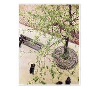 Posterlounge Le Boulevard vu d'en haut Poster | 30 x 40 cm de Gustave Caillebotte Beige Tableaux Décoration murale