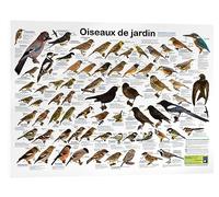 Posterlounge Oiseaux de jardin Tableau en verre acrylique de Planet Poster Editions 30 x 20 cm Idées cadeaux Décoration murale