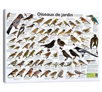 Posterlounge Oiseaux de jardin Tableau sur toile de Planet Poster Editions 30 x 20 cm Idées cadeaux Décoration murale