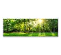 Posterlounge Photo panoramique d'une forêt en été Poster de Jan Christopher Becke 60 x 20 cm Vert Tableaux Décoration murale