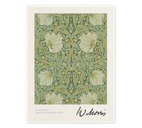 Posterlounge Pimpernel Poster de William Morris 50 x 70 cm Vert Tableaux Décoration murale