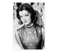 Posterlounge Romy Schneider Poster