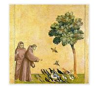 Posterlounge Saint François d'Assise prêchant aux oiseaux Poster de Giotto di Bondone 100 x 100 cm Jaune Tableaux Décoration murale