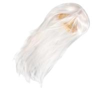 Postiche de Homme Longue Lisse Blanc High Temperature Silk | Style Classique, Texture Confortable, Usage Simple, Cosplay, Personnages Anciens, Tenue Traditionnelle Chinoise