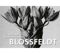 Postkarten-Set Blossfeldt: 18 Kunstpostkarten aus hochwertigem Karton