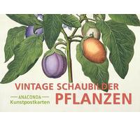 Postkarten-Set Vintage-Schaubilder Pflanzen: 18 Kunstpostkarten aus hochwertigem Karton