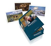 Postkartenbox Giovanni Segantini: 50 Postkarten