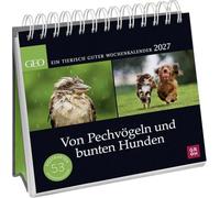 Postkartenkalender 2027: Von Pechvögeln und bunten Hunden: Ein tierisch guter Wochenkalender | Zum Aufstellen, Tischkalender mit Spiralbindung und 53 Postkarten zum Heraustrennen