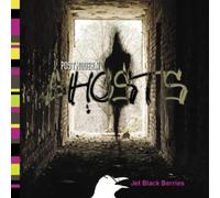 Postmodern Ghosts by Jet Black Berries (2010-09-07)