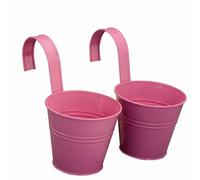 Pot 2er Rose 16cm Avec Support Moderne Galvanisé Jardin Plantes Printemps Neuf
