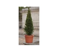 Pot a fleurs - Ø 40 cm rond - Terracotta