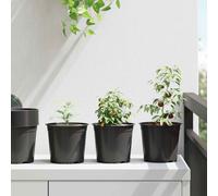 vidaXL Pot à fleurs Lot de 50 Noir Ø 15 x 12,5 cm Plastique