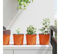 vidaXL Pot à fleurs Lot de 50 Noir Ø 15 x 12,5 cm Plastique