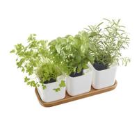 Pot à herbes aromatiques EDEN, set de 3, blanc