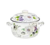Pot à lait en émail pour la fabrication des aliments - pour cuisiner, braiser et faire bouillir des soupes ou des médicaments pour cuisine, salle à manger (24 cm, couleur 2)