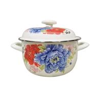 Pot à lait en émail pour la fabrication des aliments - pour cuisiner, braiser et faire bouillir des soupes ou des médicaments pour cuisine, salle à manger (20 cm, couleur 7)
