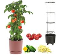 botle Pot à tomates - Pot pour la culture de plantes grimpantes - Pot à légumes - Diamètre : 30 cm - En plastique - Rose - Avec insert avec cadre haut