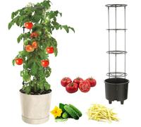 Pot À Légumes Vigne Tomate Concombre Haricot Ø40 Cm Crème Multicolore