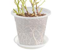 Pot à orchidée - Pots de fleurs avec trous et soucoupe - Vaisseaux transparents avec fentes de drainage et plateaux amovibles pour cactus, phalaenopsis, roses et pensées