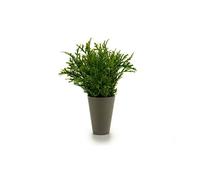 Pot à plantes Ibergarden Vert Plastique 13 x 25 x 13 cm