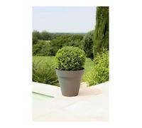 Pot à plantes Riviera 414076 Circulaire Gris Plastique