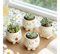 Pot à plantes succulentes avec visage souriant : Pot à plantes succulentes unique en forme de visage souriant, sans trou de drainage au fond. C'est un pot à plantes succulentes intéressant et distinct