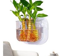 Pot à Poissons Mural, réservoir à Poissons, sans perçage, Vase Transparent pour hydroponiques, Salon, Chambre à Coucher, Cuisine, Appartement