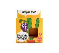 Radis et Capucine - Pot avec coupelle - Fruit du dragon - 8 cm