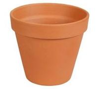 Pot Brut en Terre Cuite Naturelle ø13 cm
