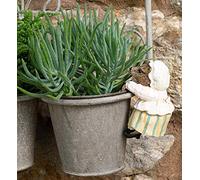 Pot Buddies Beatrix Potter Figurine de Mme Tiggy-Winkle à suspendre pour pot de fleurs - Décoration de jardin faite à la main - Figurine décorative pour pot de fleurs